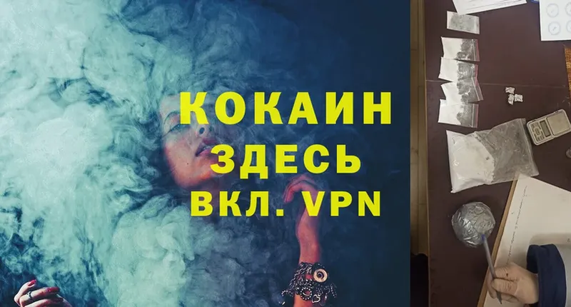 Cocaine VHQ  Кедровый 